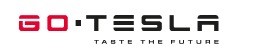 GO TESLA | Wypożyczalnia samochodów marki Tesla